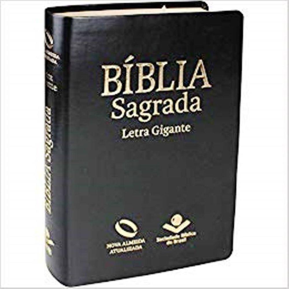 Biblia Sagrada Letra Gigante Ave Maria Capa Couro Casas Bahia