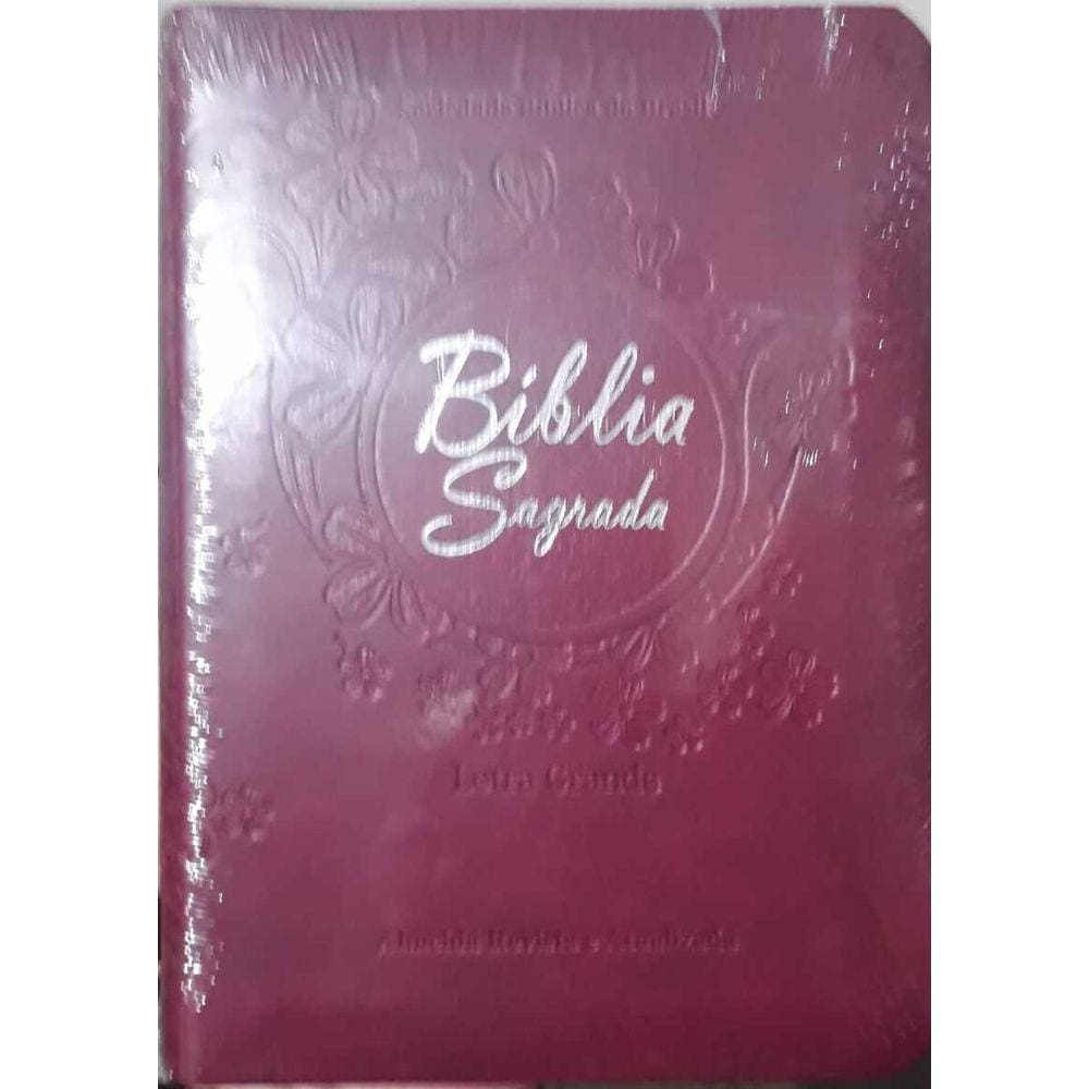 Biblia Sagrada Ra Letra Grande Casas Bahia