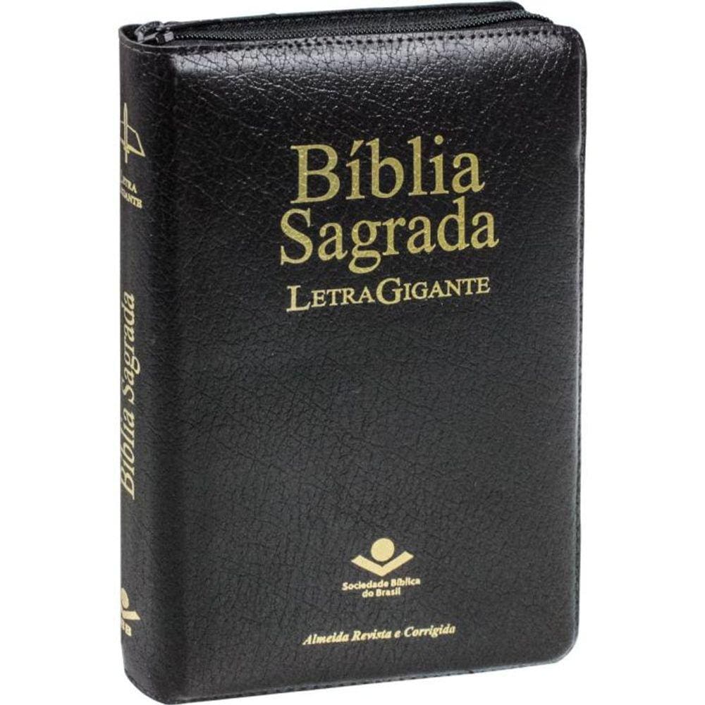 Biblia Sagrada Letra Gigante Botao E Flor Nas Bordas Casas Bahia