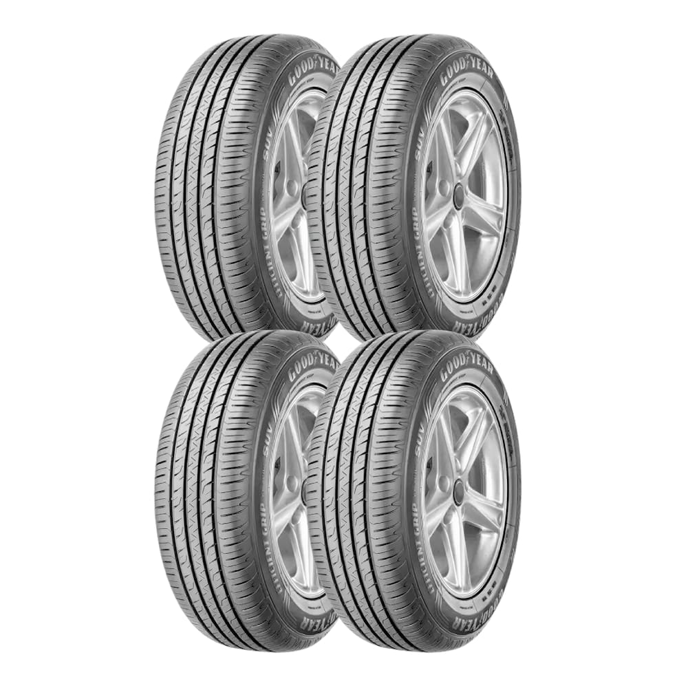 Pneu Goodyear EfficientGrip Performance 225/55R18 102V | Casas Bahia
