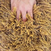 Tapete Peludo sala e quarto Casa Dona Felpudo Shaggy 150x200cm 