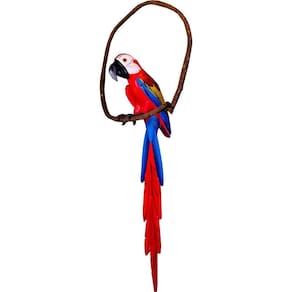 Arara Vermelha de Madeira