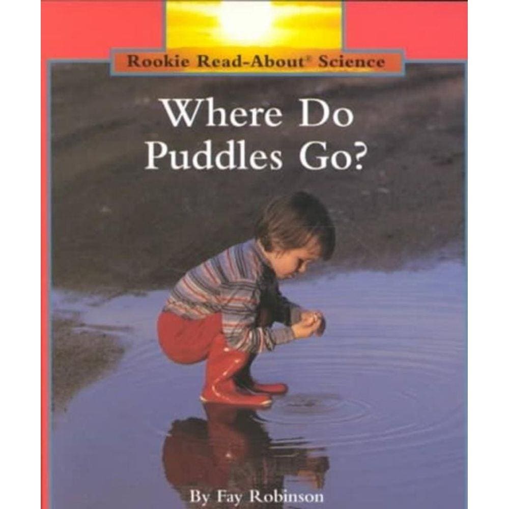 Livro - Where Do Puddles Go