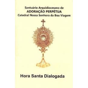 Livro - Devocionário E Novena De Padre Pio Santo Estigmatizado