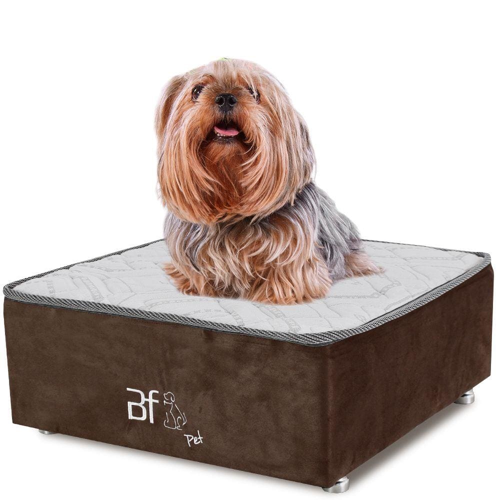 Cama para Cachorro e Gato Caminha em Suede Marrom + Lençol Impermeável Branco 60X60x24cm BF Colchões