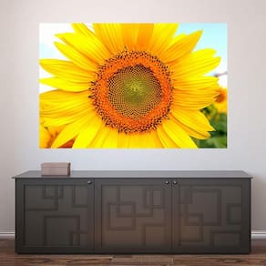 Painel Adesivo de Parede - Girasol - 510pnp