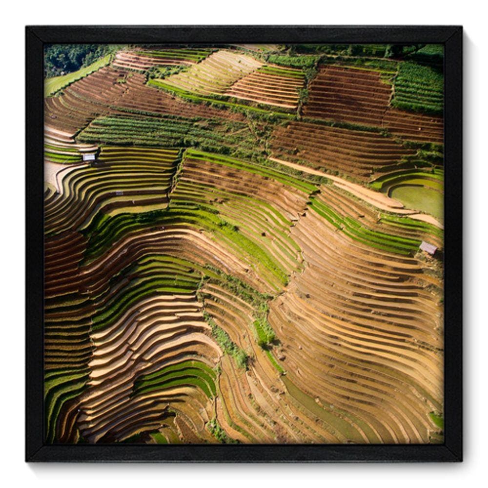 Quadro Decorativo - Plantação - 50cm x 50cm - 134qnpcp