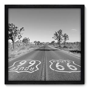 Quadro Decorativo - Rota 66 - 50cm x 50cm - 060qnmcp