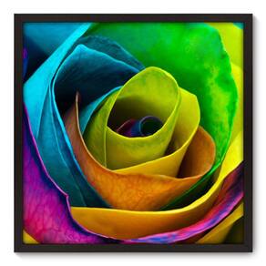 Quadro Decorativo - Rosa - 70cm x 70cm - 006qnfdp