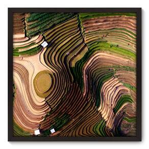 Quadro Decorativo - Plantação - 70cm x 70cm - 135qnpdp