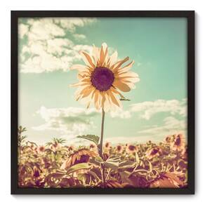 Quadro Decorativo - Girassol - 70cm x 70cm - 021qnfdp
