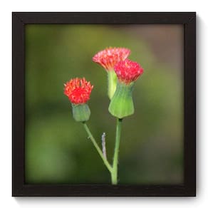 Quadro Decorativo - Flor - 22cm x 22cm - 036