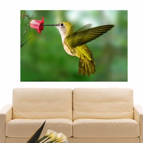 Painel Adesivo de Parede - Beija-Flor - 126pnm