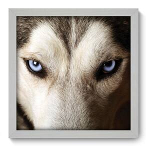 Quadro Decorativo - Lobo - 33cm x 33cm - 011