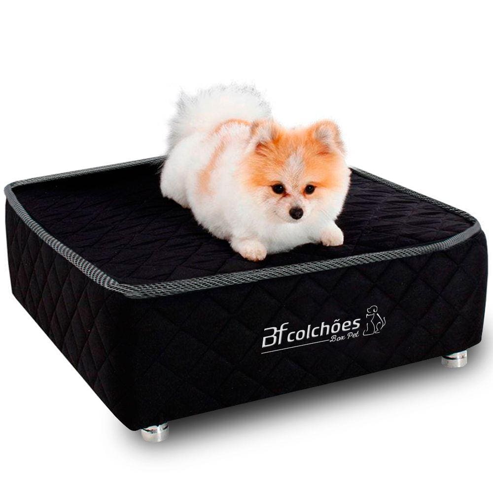 Cama Box Caminha Pet Cachorros e Gatos Luxo - BF Colchoes
