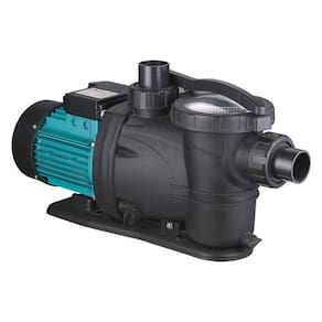 Bomba De Piscina Xkp554A 1/2 Cv - Lepono 220V