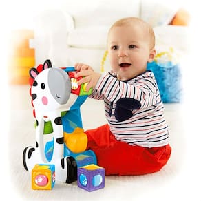 Fisher Price - Zebra Blocos Surpresa CGN63 Mattel