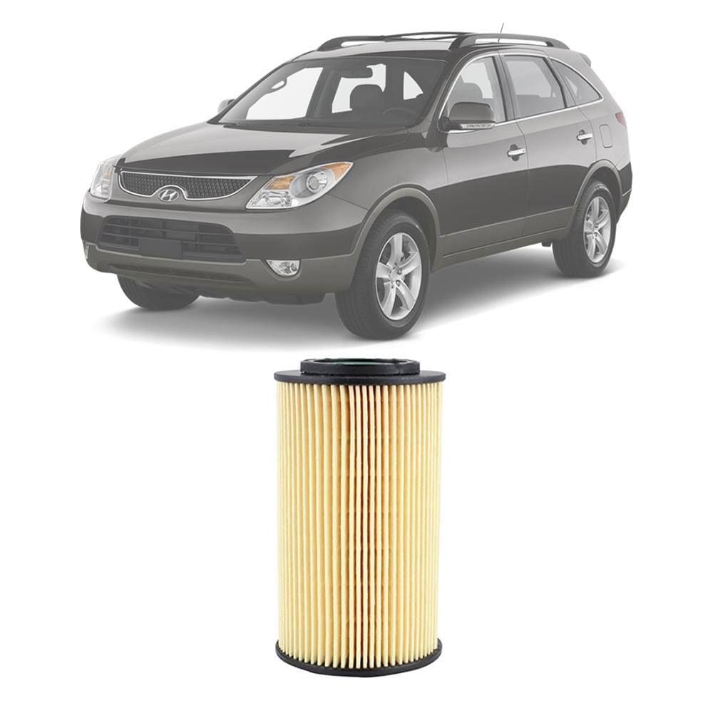 Filtro Óleo Hyundai Veracruz 3.8 24V V6 2007-2012