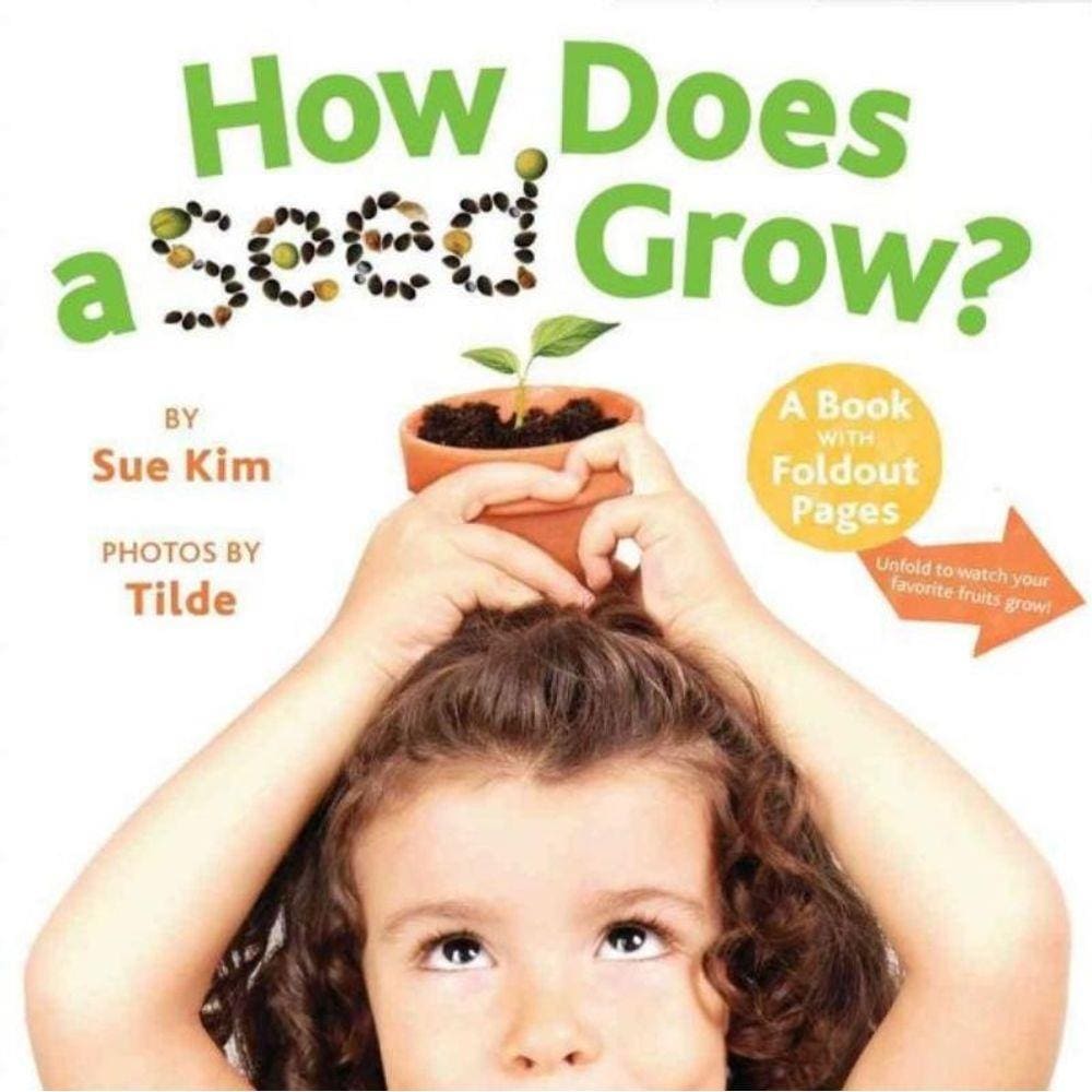 How Does A Seed Grow?