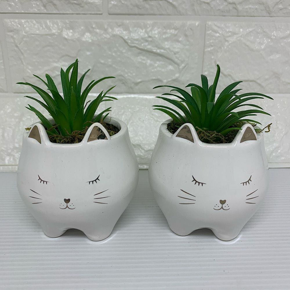 Conjunto de cachepô gatinhos com suculenta