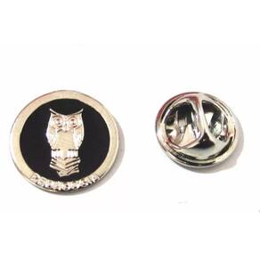 Broche Pedagogia Professora Coruja Folheado Níquel