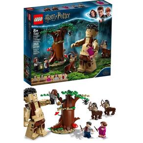 Lego Harry Potter Xadrez Bruxo 76392 876 Peças no Shoptime