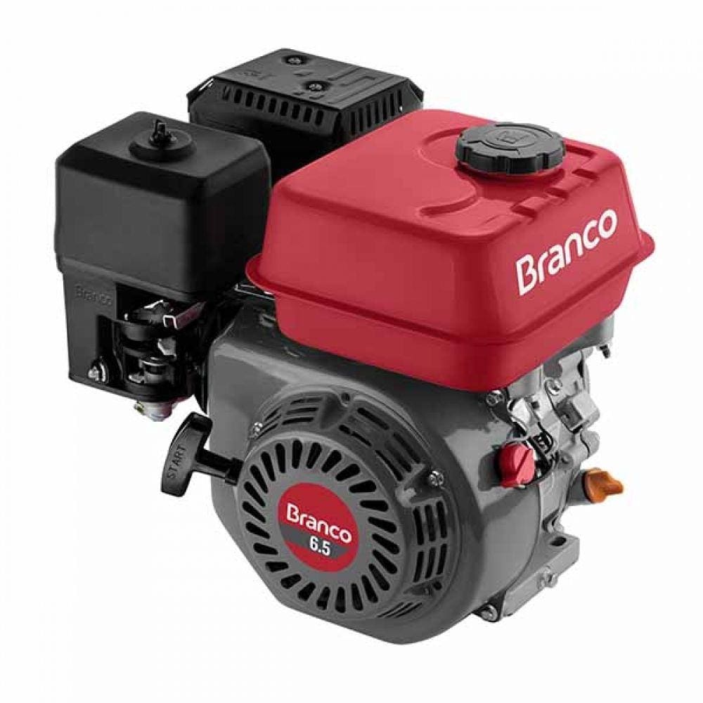 Motor à Gasolina - B4T 6,5CV Partida Manual - Branco