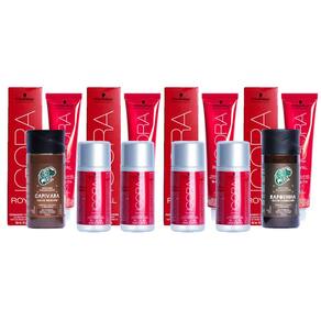 Kit Igora 9.7 Louro Extra Claro Cobre , Água Oxigenada 30 vol e Flamingo