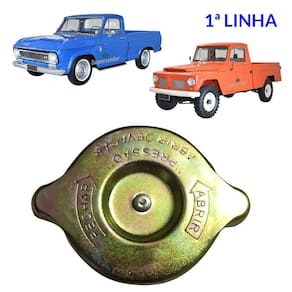 Tampa Radiador F75 F1000 Rural C10 D10 Veraneio Bandeirante