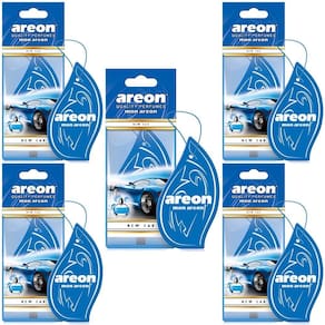 5 Perfumes Pra Carro Cheirinho Aromatizador Areon New Car