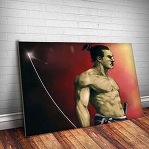 Placa Decorativa Samurai Jack 14 Mdf 20X30Cm