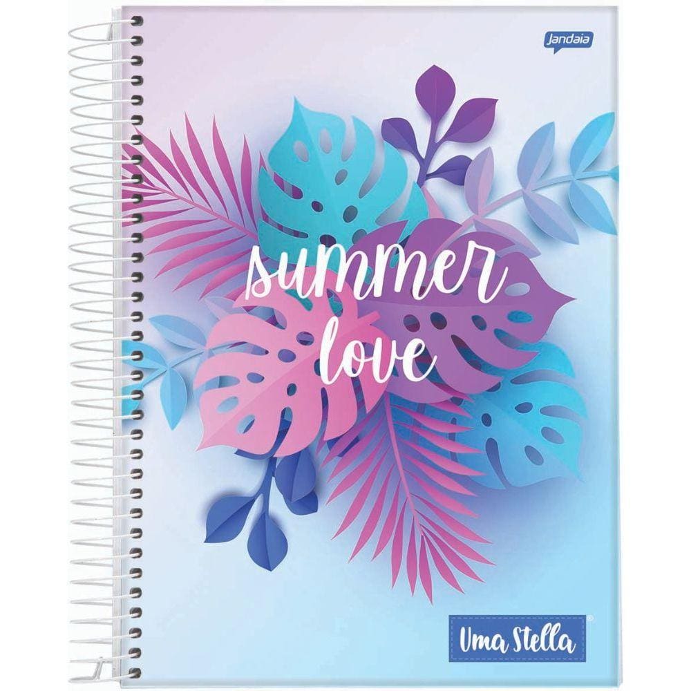 Caderno C/D 10 Materias Stella 160 Folhas Jandaia