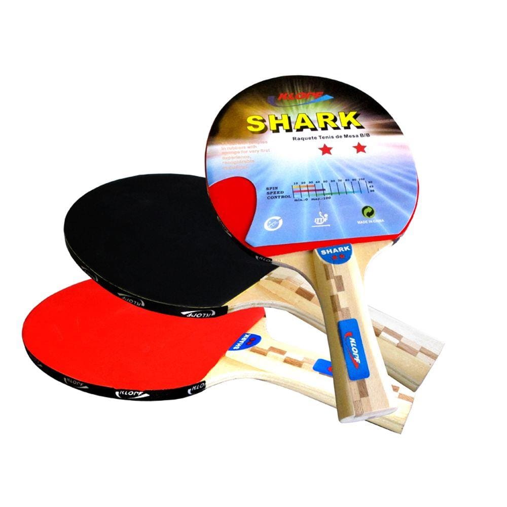 RAQUETE DE PING PONG FR 100