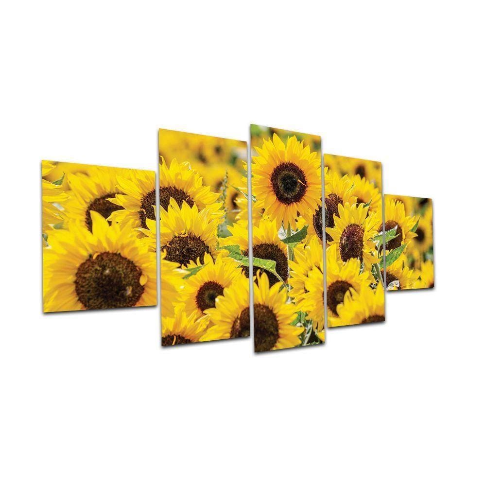 Kit Placas Decorativas 5 Peças 3D Borda Infinita Girassol