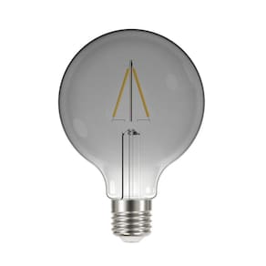 Lâmpada LED Filamento Vintage 3W Globo G95 Fumê Taschibra - caixa com 6 Unidade - 2200K