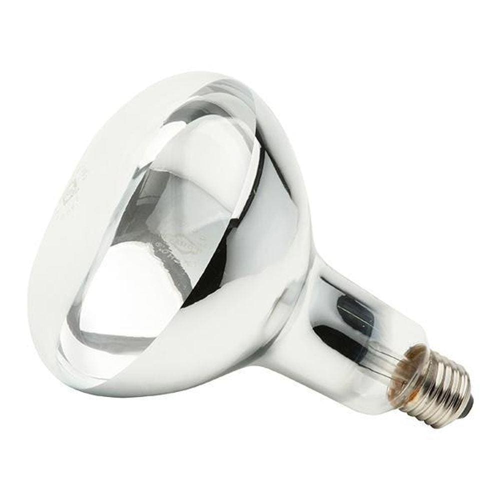 Lâmpada Secagem Infraver 250Wx220V E27 Brasfort 8464