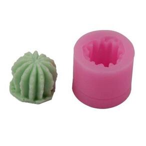 Molde De Silicone Cacto