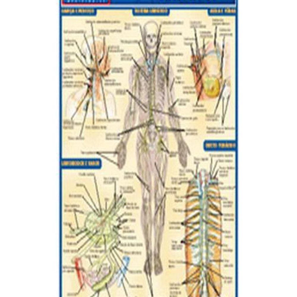 Livro Resumão - Sistema Linfático
