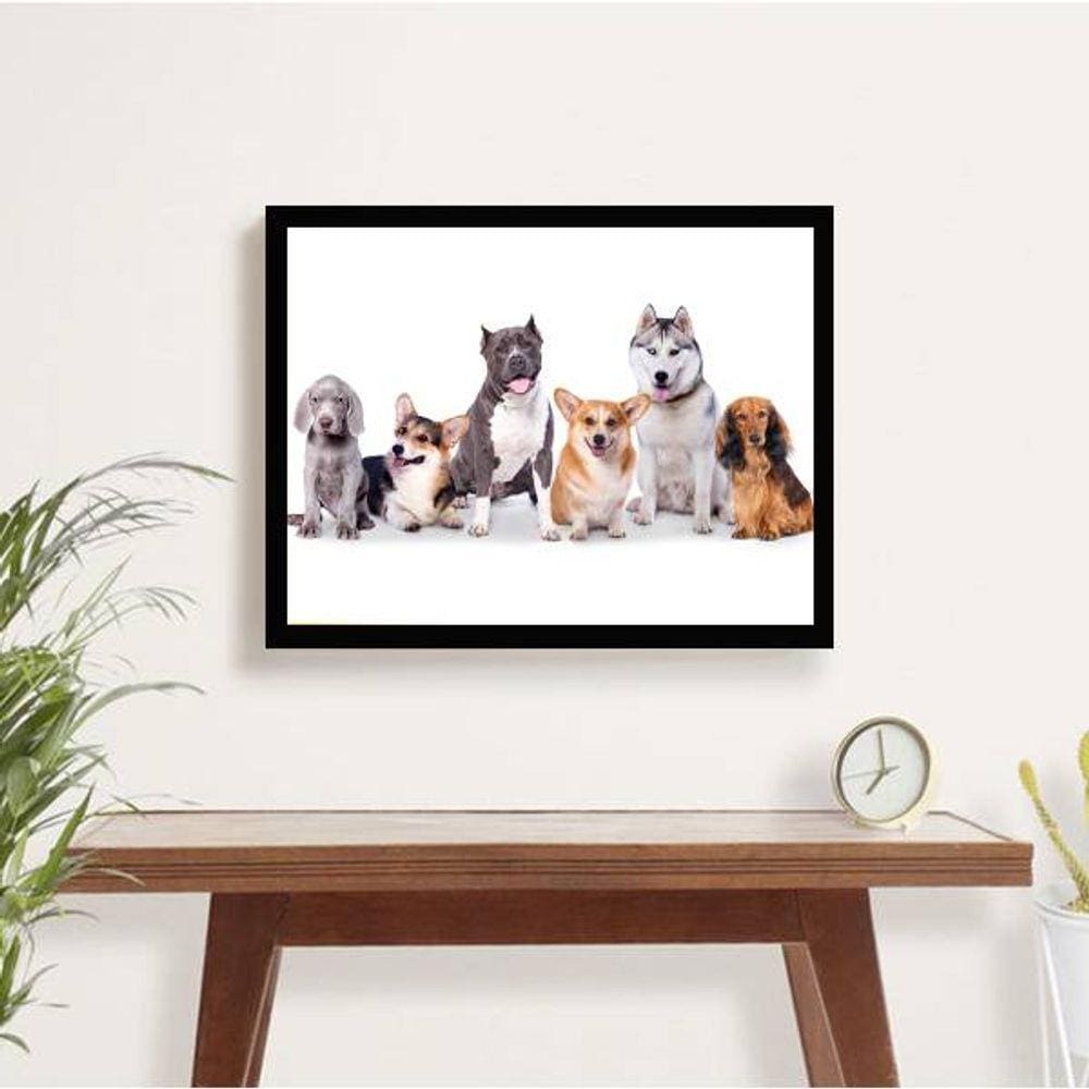 Quadro Decorativo Turma Pet