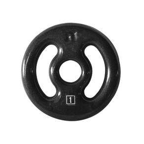 Anilha de Ferro Fundido Emborrachada Fitness Academia 1Kg