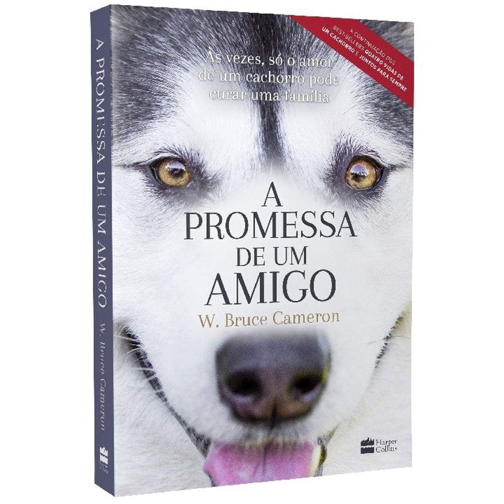 A Promessa De Um Amigo
