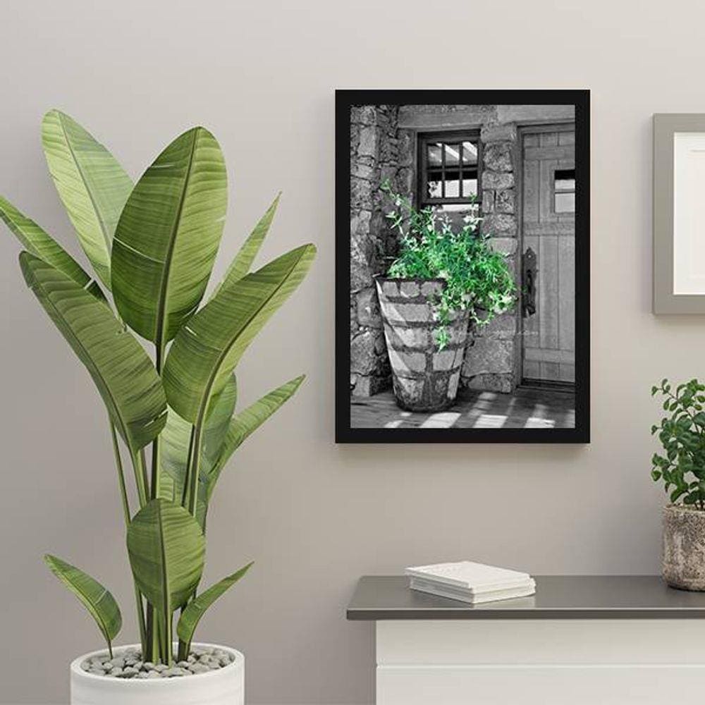 Quadro Decorativo Fotografia Vaso com Plantas