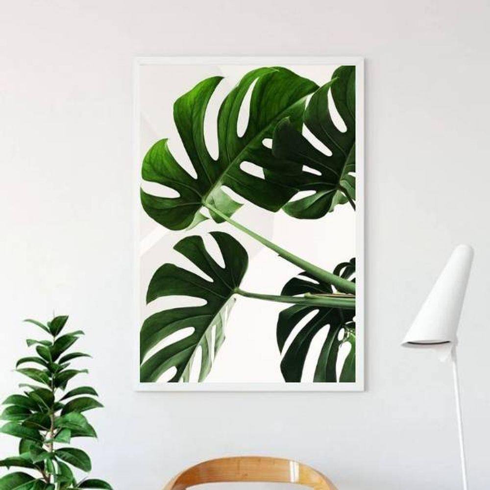 Quadro Decorativo Fotografia Costela de Adão