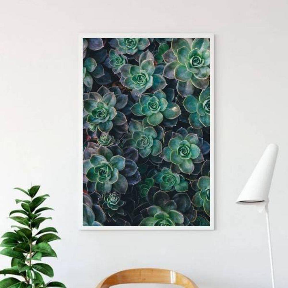 Quadro Decorativo Fotografia Suculentas