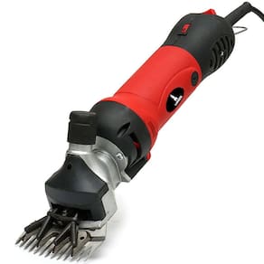 Máquina Tosar Tosquiadeira 1000W Carneiro Ovino Ovelha Caprinos 220V