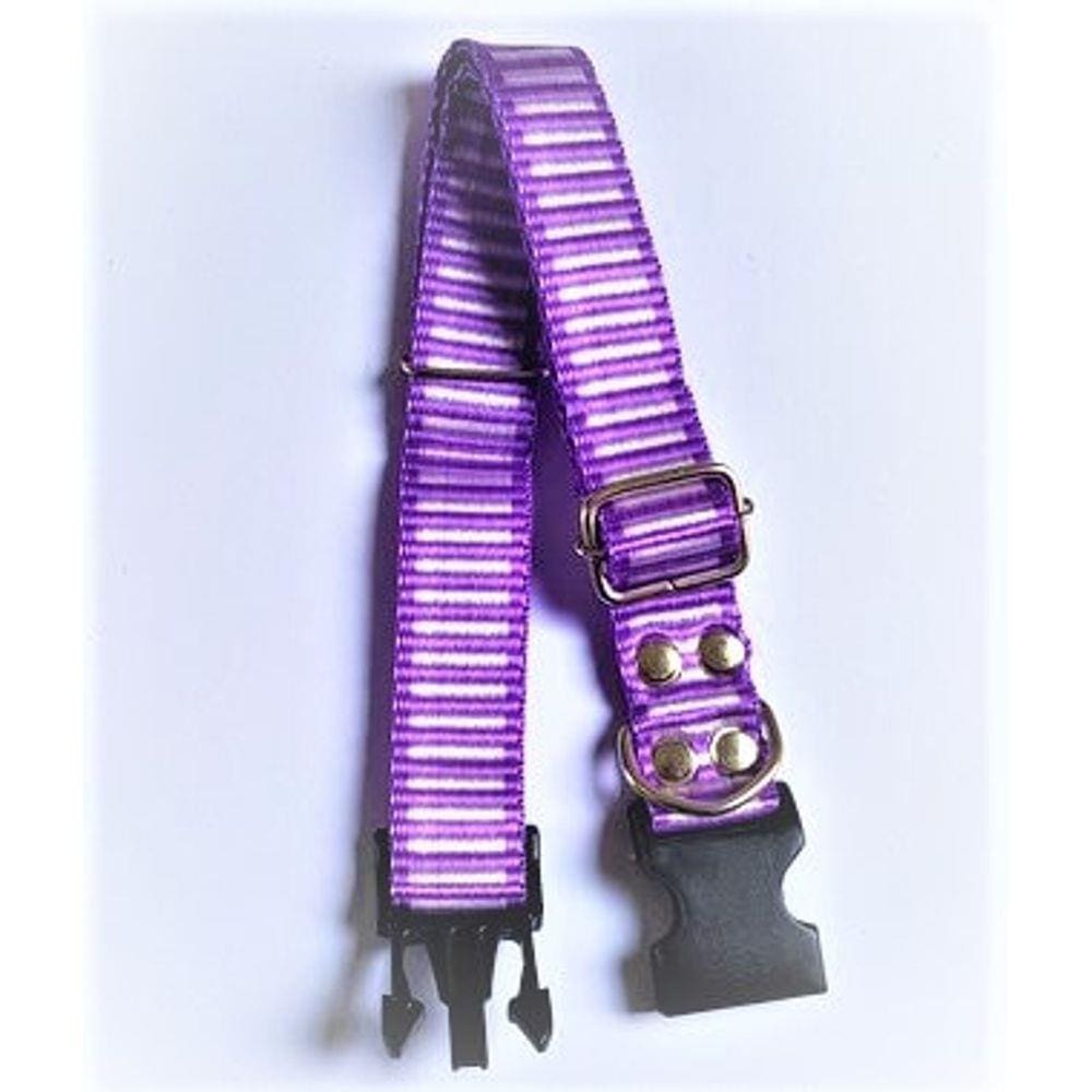 Coleira cachorro Smooty Pet G Listrada