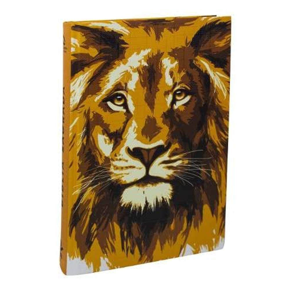 Livro - Bíblia Sagrada - Nova Almeida Atualizada - NAA - Letra Grande - Oleiro