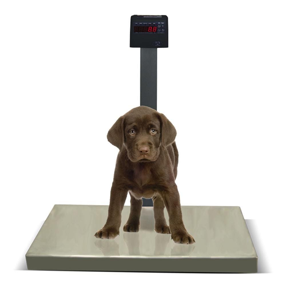 Balança Pet Digital 200kg/50g Pesadora com Bateria Ramuza