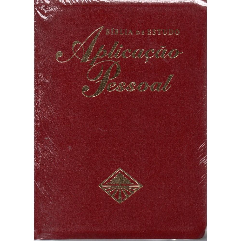 Biblia Aplicacao Pessoal Grande Vinho luxo