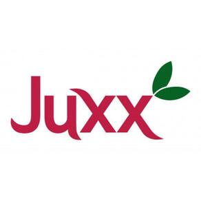 Kit 12X Suco De Cranberry Zero Juxx 1 Litro